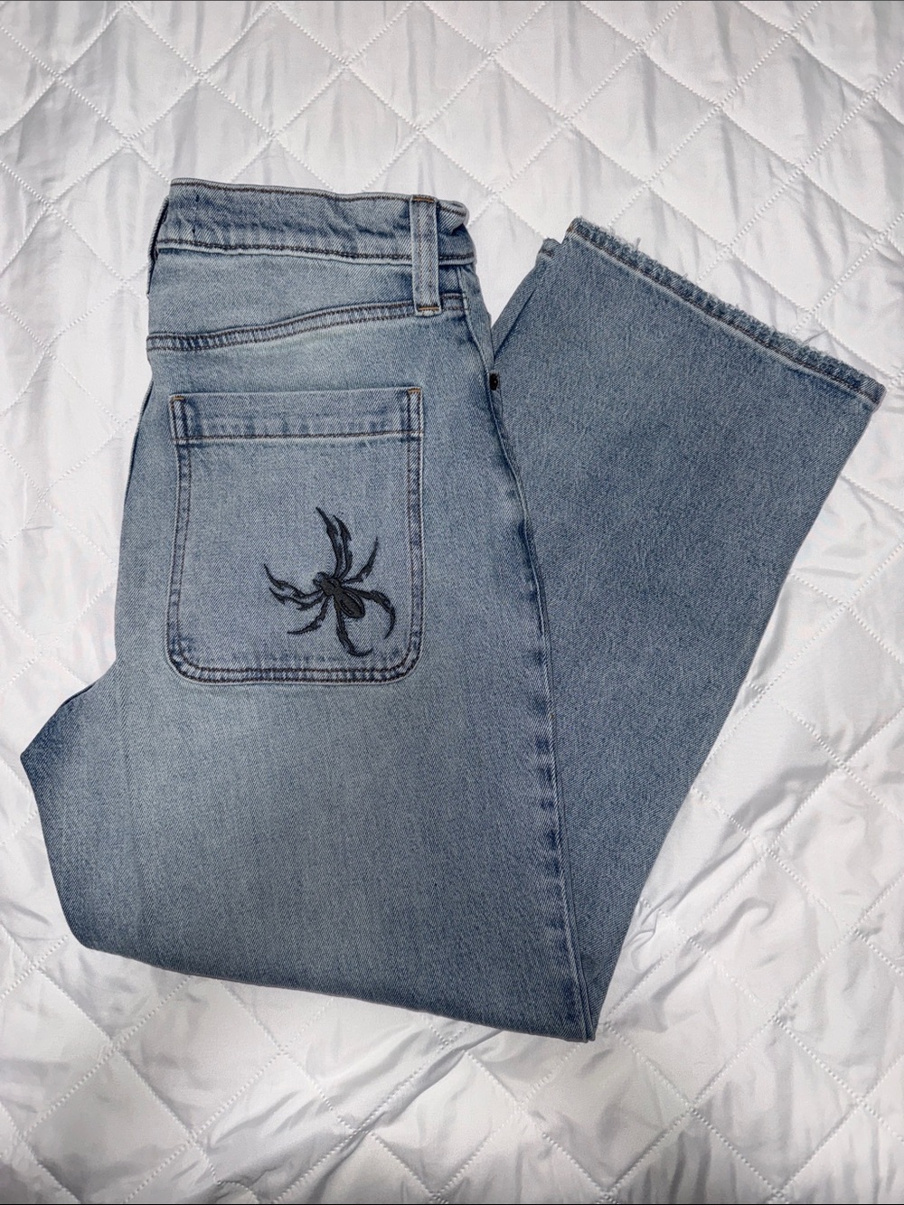 NWOT Hollister Baggy Jeans